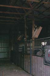 Barn 7